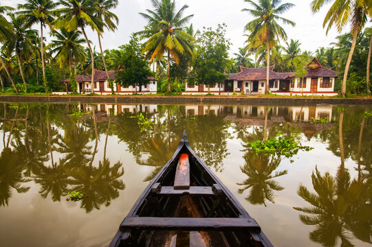 Blissful Yoga Retreat Group Trip to South India