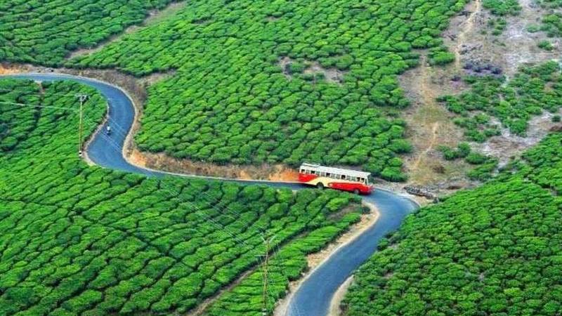 Blissful Yoga Retreat Group Trip to South India