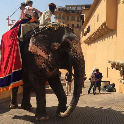 Rajasthan on Wheels – By Car