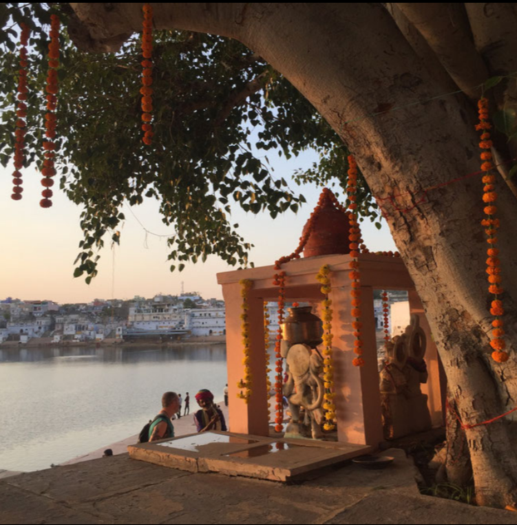north india Tour Rajasthan - madhya pradesh - uttar pradesh  India